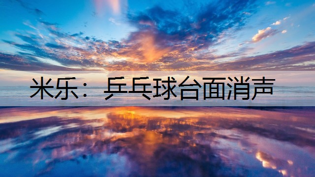 米乐：乒乓球台面消声