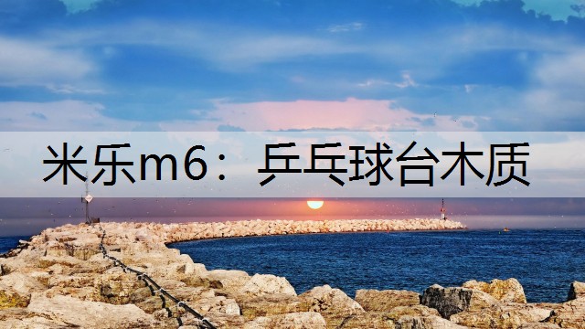 米乐m6：乒乓球台木质