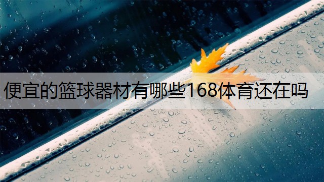 <strong>便宜的篮球器材有哪些168体育还在吗</strong>