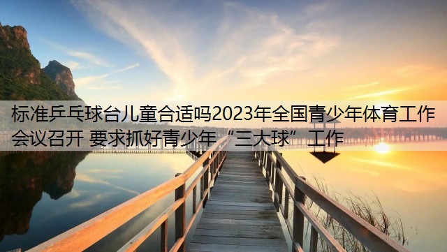 标准乒乓球台儿童合适吗2023年全国青少年体育工作会议召开 要求抓好青少年“三大球”工作