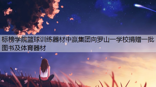 <strong>标榜学院篮球训练器材中赢集团向罗山一学校捐赠一批图书及体育器材</strong>