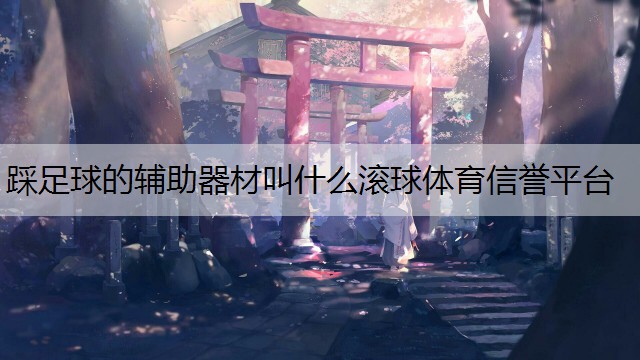 <strong>踩足球的辅助器材叫什么滚球体育信誉平台</strong>