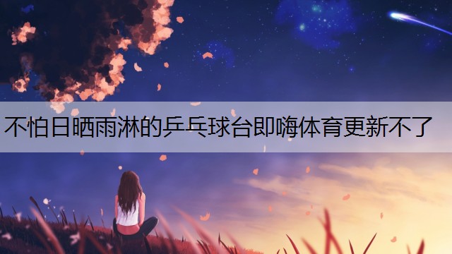 <strong>不怕日晒雨淋的乒乓球台即嗨体育更新不了</strong>