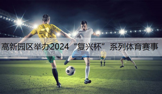 <strong>高新园区举办2024“复兴杯”系列体育赛事</strong>