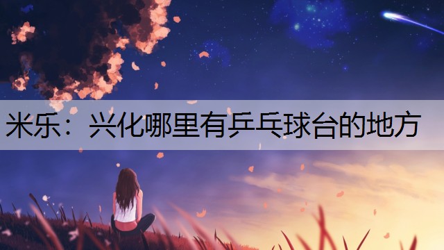 兴化哪里有乒乓球台的地方