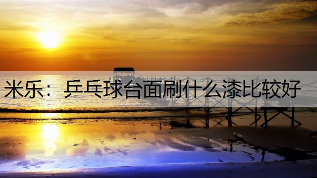 乒乓球台面刷什么漆比较好