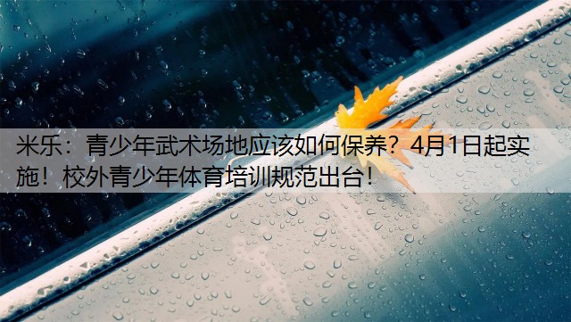 青少年武术场地应该如何保养？4月1日起实施！校外青少年体育培训规范出台！