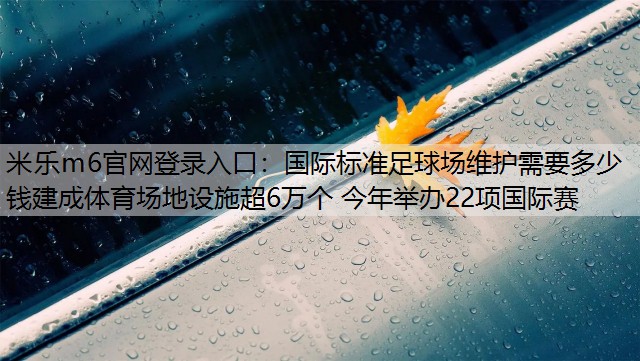 国际标准足球场维护需要多少钱建成体育场地设施超6万个 今年举办22项国际赛