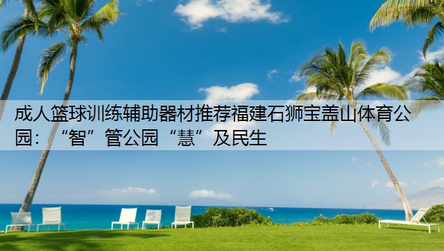 成人篮球训练辅助器材推荐福建石狮宝盖山体育公园：“智”管公园“慧”及民生