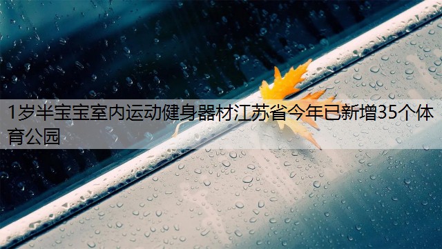 1岁半宝宝室内运动健身器材江苏省今年已新增35个体育公园